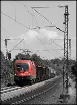 1116 189 mit Gterzug am Haken auf einer Geraden bei Ostermnchen. (10.07.2008)