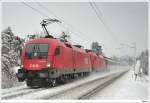 Ein gewhnliches rotes Doppelpack bespannte am 31.1.2009 den OEC 162.