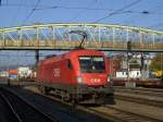 Die 1116 175 am 11.10.2008 bei einer Rangierfahrt in Salzburg Hbf.