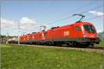 Drei Mal 1116, unter anderem 1116 075 EM-Lok Schweiz, ziehen diesen Gterzug von Villach nach Bruck an der Mur.
Zeltweg 07.05.2009