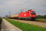 Gleich hinter der Regionalbahn kam 1116 025-6 mit einem Kesselzug gen Linz vorbeigekesselt,Pasching (sterreichurlaub 18.08.09)