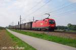 Dann gings im Gterverkehr wieder bergauf:1116 103-1 mit ihrem Megacombiganzzug gen Linz erffnete den Reigen,Pasching (sterreichurlaub 18.08.09)  