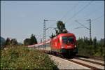 1116 273 ist mit dem OEC 564 „Universitt Salzburg“, Wien Westbahnhof – Bregenz, bei Niederaudorf unterwegs. (05.08.2009)