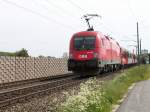 Strecke Linz-Kirchdorf an der Krems
Streckenabschnitt Ansfelden-Nettingsdorf, 1116 115-5. Pfingstwochenende 05,

Minolta Dimage Z3