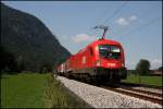 1116 164 ist mit einem KLV-Zug bei Niederaudorf unterwegs. (06.08.2009)