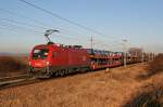 28.11.09 Den fast schon einzigen sonnigen Tag Ende November musste man noch nutzen, bevor die 1014 Leistung auf der Nordbahn wegfllt. Also nocheinmal die Kamera zcken und abdrcken. Das galt nicht nur fr die 1014 sondern auch fr die vorbeifahrenden Rbenbomber und Auto Ganzzge. Hier bespannt die 1116 166 den 125min verspteten GAG 46789 von Breclav nach Tarvisio Boscoverde.