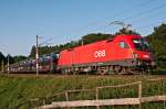 1116 073 befrderte am 20.07.2010 den Autozug Richtung Westen. Die Aufnahme entand am spten Nachmittag des 20.07.2010 zwischen Rekawinkel und Eichgraben-Altlengbach.