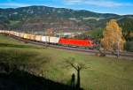 1116 238 befrdert einen Ganzzug ber den Semmering. Und wie man sieht, werden nach der Zeitumstellung die Schatten bald lnger. Das Foto enstand am 05.11.2010 kurz vor Eichberg.