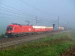 1116 232 am 14.08.2010 unterwegs bei Pndorf