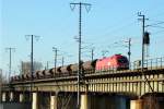 1116 233 quert mit einem Getreidezug die Donau im Bereich der Lobau am 8.12.2005