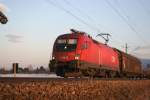 1116 067-8 mit Gterzug in der Abendsonne von Bernau am 08.02.2011