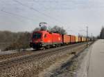 Die 1116 129 am 24.02.2011 mit einem Containerzug unterwegs bei Vilshofen.