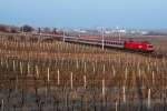 OIC 537 (Wien Meidling - Villach), im spten Sonnenlicht des 28.02.2011 zwischen Gumpoldskirchen und Pfaffsttten.