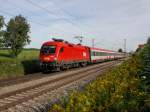 Die 1116 016 mit dem EC 111 am 14.08.2011 unterwegs bei Hilperting. 