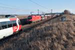 1116 113 mit einem Autoganzzug begegnet  50 Jahre S-Bahn in Wien  zwischen Gramatneusiedl und Himberg, am 25.02.2012.