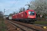 1116 193  Manfred  an der Spitze dieses Gterzuges. Wien Speising, 11.04.2012.