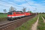 1142 593 an der Spitze dieses Gterzuges, zwischen Himberg und Gramatneusiedl, am 29.04.2012.