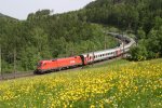 1116.088 mit D-13018 bei der Apfelwiese am Eichberg. 19.5.13