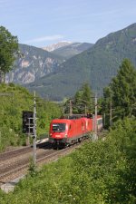 1116.038+097 mit OIC-531 bei Kb mit Schneeberg im Hintergrund. 9.6.13