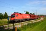 1116 097 auf der  Rohrdorfer Lokalbahn  zum Zementwerk - 19/06/2013