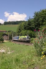 CAT 1116.141 mit EC-102 bei Klamm/Sch. am 16.7.13