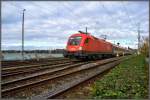 1116 101 mit IC118 aus Salzburg trifft in Lindau Hbf ein. (05.11.2013)