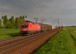 1116 093 mit einem Güterzug am 24.04.2014 bei Plattling.