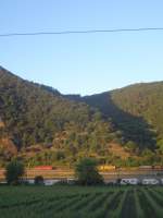 1116 *** der ÖBB fährt bei letztem Sonnenlicht die rechte Rheinstrecke in Richtung Koblenz hinauf.