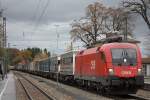 ÖBB 1116 114 am 9.11.13 mit einem KLV in Aßling (Obb.).