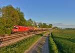 1116 033 mit einem Kesselzug am 06.05.2015 bei Langenisarhofen. 