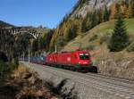 Die 1116 091 und die 1016 043 mit einem KLV-Zug am 31.10.2015 unterwegs bei St.