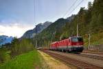 1144 049 und eine 1116 fahren mit einem langen gemischten Güterzug in Wald a/A vorbei.Bild vom 9.9.2015