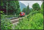 1116 180 durcheilt mit einem OEC Richtung Arlberg die  S-Kurve  bei Oberaudorf im Sommer 2005