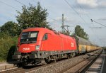 1116 259 mit DGS 47134 (RCC, Kecskemet–Bremerhaven) am 02.09.2016 in Muhr am See