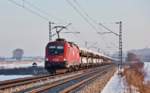 1116 113 fährt in Osterhofen mit einem Autotransportzug vorbei.Bild vom 20.1.2017