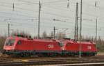 Zwei abgestellte ÖBB 1116 Stiere in Bissingheim am 28.1.2017