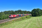 1116 249 mit RJX 564 am 21.08.2020 bei Lauter.