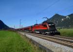 1116 222 mit einem Railjet am 13.10.2013 bei Niederaudorf.