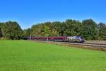 1116 157 mit RJ 564 am 26.10.2019 bei Brannenburg.