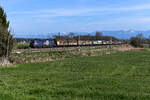 Mit dem  Papierzug  von Verona Porta Nuova Scalo nach Schwandorf war die für die ORF Aktion  Licht ins Dunkel  werbende ÖBB 1116.158 am 24. April 2021 bei Rann unterwegs. Laut einer Ankündigung von DB Cargo wird diese Verbindung zum Jahreswechsel eingestellt und die Waggons werden im Einzelwagenverkehr den Weg über die Schweiz anstatt über den Brenner nehmen.  