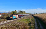 1116 229 mit einem RJ am 31.10.2021 bei Langenisarhofen.