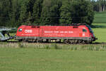 1116 199  N�chster Halt: Job mit Sinn  am 2 Juli 2026 bei Osterm�nchen.