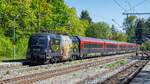 91 81 1116 216 | 20260430 | A�ling