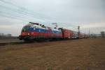 1116 084  Russland  war am 04.01.2009 am REX 2108 nach Gm�nd unterwegs. Hier kurz vor Langenlebarn bei schlechtem Licht und siibirischen Verh�ltnissen;-)