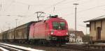 Ja endlich, sie fhrt so oft, aba noch nie hatte ich Zeit, Lust oder Glck sie zu erwischen. 1116 003 alias Rail Cargo Austria. 
Vielen Dank an Julian H. der mich an die Strecke lockte.  (13.03.2010, Mangolding)