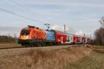 14.3.09 Zu Zeiten der Streckensperre zwischen Tulln und Absdorf Hippersdorf als die Tullner Donaubrcke erneuert wurde, verkehrten die Kremser und Gmnder Zge ber die Schnellbahn Stammstrecke und der Nordwestbahn. Auch Werbeochsen verirrten sich ab und zu, wie hier die 1116 250 mit dem R 7120 von Stockerau nach Krems an der Donau kurz vor Absdorf Hippersdorf zeigt.