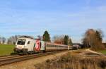 1116 264  3  mit einem EC nach Mnchen HBF. Aufgenommen am 24. November 2012 bei bersee (Chiemsee)