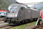 1116 182  Cobra  stand mit ihrer Schwester im Bahnhof Brenner/Brennero rum  2.Mai 2014