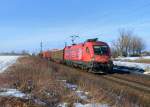 1116 143 mit einem Holzzug am 03.02.2015 bei Plattling.