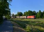 1116 072 mit einem Güterzug am 02.06.2015 bei Schwarzwöhr.